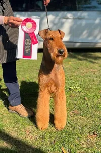 2022-10-07 (3) AIREDALE