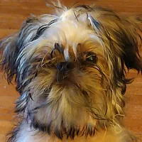 charlie