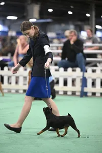 Peach 2026-03-11 Louisville Specialty - Movement Candid - BGriffon Rickard2