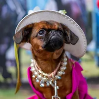 Penny