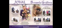 Here is our Ad in “Top Notch Toys” Magazine.