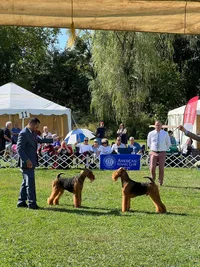 2022-10-07 (4) AIREDALE
