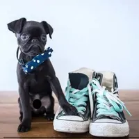 IMG_0835