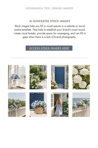 Hydrangea Tide stock images for a coastal brand kit template