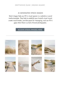 Dune grass and beach stock images thumbnail from the Driftwood Dune brand kit