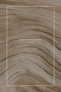 Driftwood Dune earthy brand kit template branded mockup with beach photography background