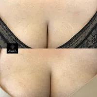 asset-47