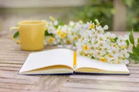 seo-strategy-notebook