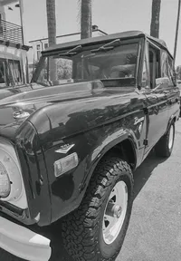 Belleza Sol - Bronco