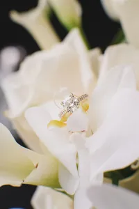 JasminePaulWedding-27_websize