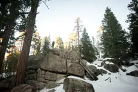 MAR_2545