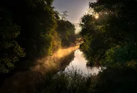 Golden morning sunlight illuminates mist rising from the River Taw in the Devon countryside.