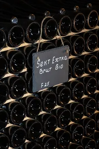 Rows of Bründlmayer Sekt Extra Brut Bio bottles stored horizontally in the winery cellar, with a handwritten slate label.