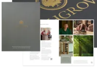 Brochure_Gold_Foil