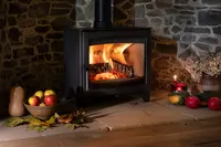 Autumnal styling with seasonal foliage and decorative accessories beside the Aspect 7 wood-burning stove.