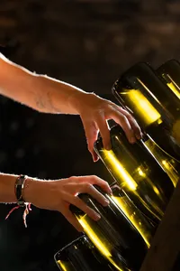 brundlmayer-wine-cellar-lees-simon-moore