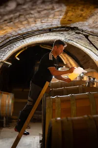 Martin inspecting a wine sample above the wooden barrels in the historic arched cellars at Weingut Bründlmayer.