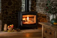 Autumnal styling with seasonal foliage and decorative accessories beside the Aspect 7 wood-burning stove.