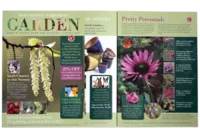 Leaflet_design