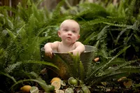 Baby sitting in a small metal tub among lush ferns and sliced citrus fruit, looking up during the splash portion of a cake smash in Mandarin. - A portrait experience by Nature's Child Photography.