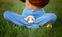 In Callahan, a guinea pig sits tucked between denim-clad legs in a grassy field, its bright eyes and small pink nose pointed curiously toward the camera. - A portrait experience by Nature's Child Photography.