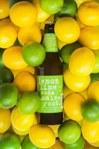 Maine Root Bottle LL