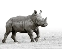 20221219-IMG_0178-Edit-2