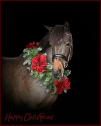 pony-christmas-garland-portrait