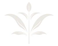 LittleSproutDoula_Graphic2_Fill_Stone
