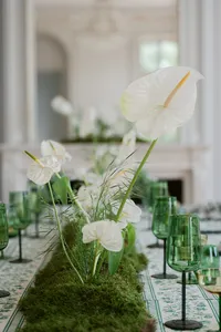 BlancVert-MaisonDartistik-ZephyrKokPhotography-24-web