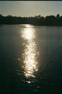 000630580011