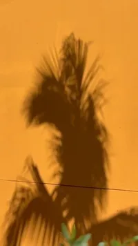 65BD7D14-7E4E-46B7-83C8-4E9FA60A0721_4_5005_c
