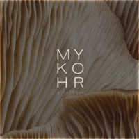 MYKO-17