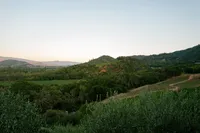 WrennwoodEvents_PromontoryWine_NapaEventPlanner (1)