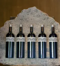 WrennwoodEvents_PromontoryWine_NapaEventPlanner (5)
