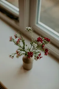 ashleigh-joy-photography-7eN778msLgE-unsplash