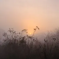 ୨୧ ₊fog in the village ⊹ɞ