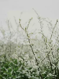 annie-spratt-ukyasRpyhv4-unsplash (1)