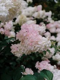annie-spratt-aIghCSnBqi4-unsplash