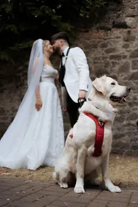 Daven-Casey-Wedding-Photography-Langtons-Hotel-Kilkenny-248