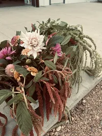 Freshly gathered flowers and foliage arranged for floral design work at Roam & Ivy.