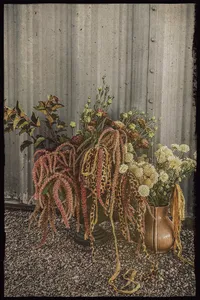 Roam and Ivy floral arrangement