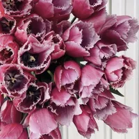 Bouquet of Louvre Tulips with deep berry pink and fringed blooms