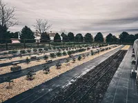 Rows of seasonal flowers growing across the Roam & Ivy flower farm in Nebraska.