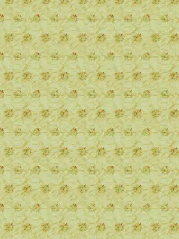 Faded-desert-resorts_0002_Pattern Fill 20