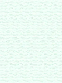 ASSETTS - SURF CLUB.psd_0002_Pattern Fill 13