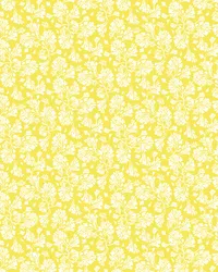 CAPRI 2025_0004s_0004_Pattern Fill 1