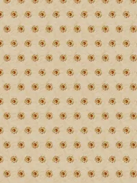Faded-desert-resorts_0000_Pattern Fill 22