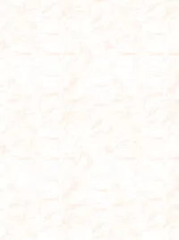 Faded-desert-resorts_0007_Pattern Fill 15