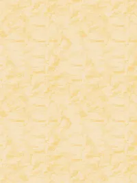 Faded-desert-resorts_0006_Pattern Fill 16